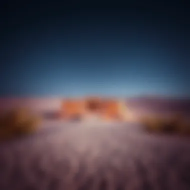 Magnificent Exploring Al Aweer's Desert: A Comprehensive Overview