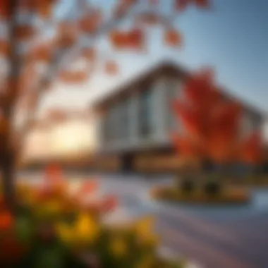 Magnificent Exploring the Autumn Seasons in Community Engagement: A Focus on JVC Magnificent Exploring the Autumn Seasons in Community Engagement: A Focus on JVC