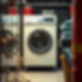 A Comprehensive Exploration of Laundry Business Opportunities for Sale in Dubai Introduction
