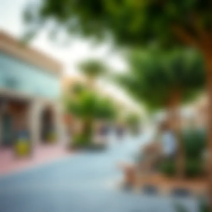 Vibrant community amenities in Ajman, including parks and shops