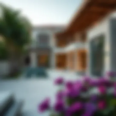 An Exploration of Luxurious Villas: Exterior Design and Aesthetic Appeal Summary