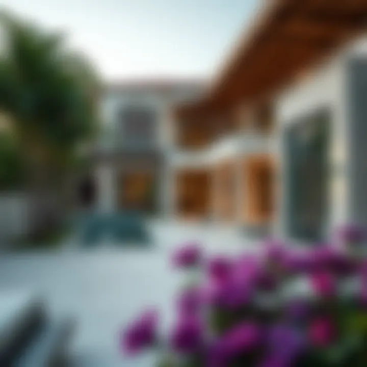 An Exploration of Luxurious Villas: Exterior Design and Aesthetic Appeal Summary