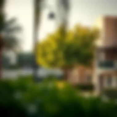Serene Residential Neighborhood in Dubai A tranquil residential area in Dubai with lush greenery