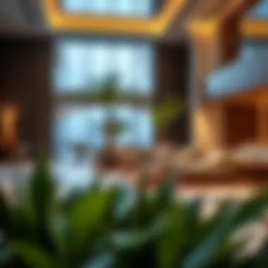 Luxurious amenities offered in Emaar properties