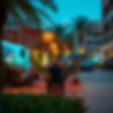 Vibrant community spaces in Dubai promoting lifestyle and engagement