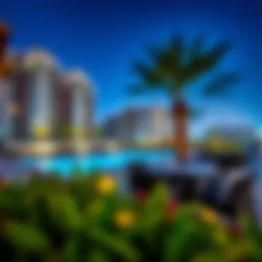 Amenities available in a 1 BHK flat community in Dubai