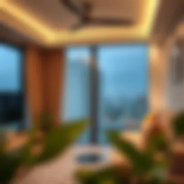 Notable Exploring 1 BHK Rental Options in Liwan Notable Exploring 1 BHK Rental Options in Liwan