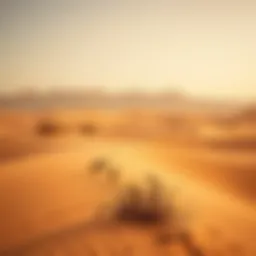 Exploring Al Aweer's Desert: A Comprehensive Overview Introduction