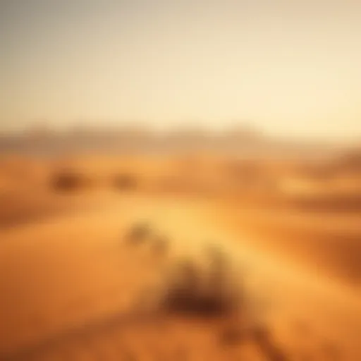 Exploring Al Aweer's Desert: A Comprehensive Overview Introduction