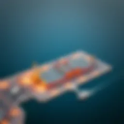 Bird's eye view of Al Mughayra Port highlighting its strategic location.