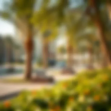 Community park in Al Zahia Uptown