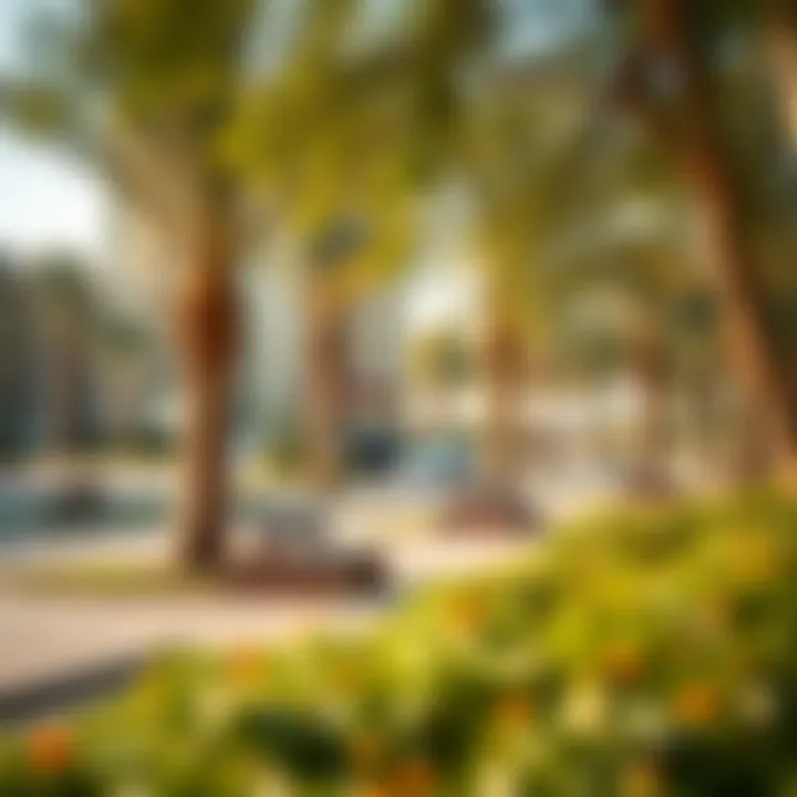 Community park in Al Zahia Uptown