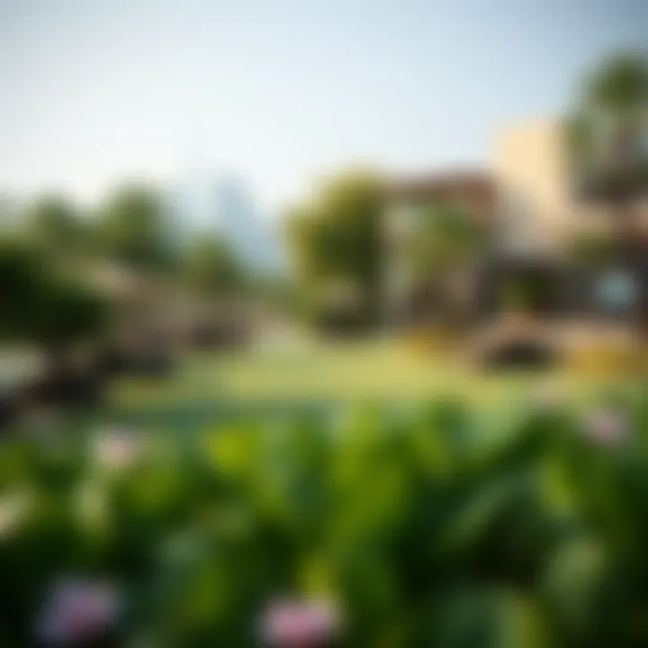 Lush green spaces and leisure activities available on Bluewaters Island.