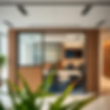 Modern partition design in a Business Bay office