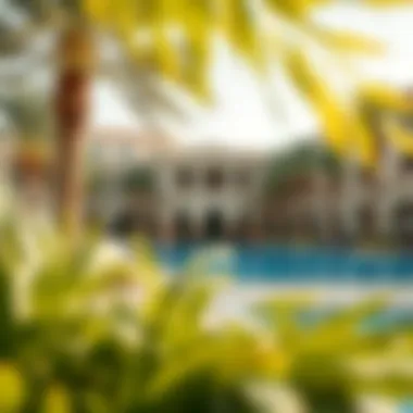 Relaxing pool area surrounded by palm trees at Caesars Palace Dubai