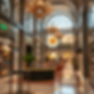 Exploring دو الجيمي مول: A Comprehensive Insight Summary