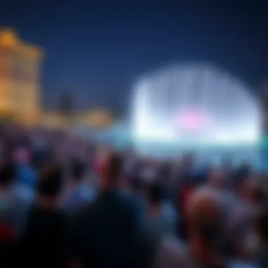 Crowd enjoying the fountain performance