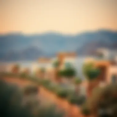 Real estate developments in Hatta showcasing modern properties and natural surroundings