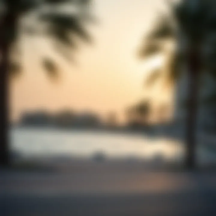 Exploring Jumeirah Bay Beach: A Comprehensive Overview Summary