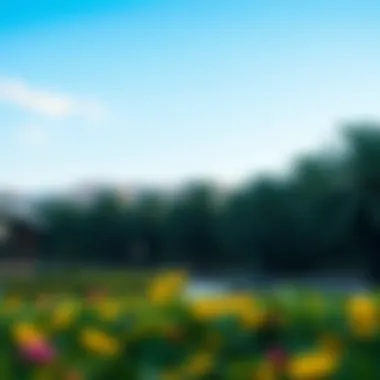 Lush parks and recreational areas in مثلث قرية جميرا