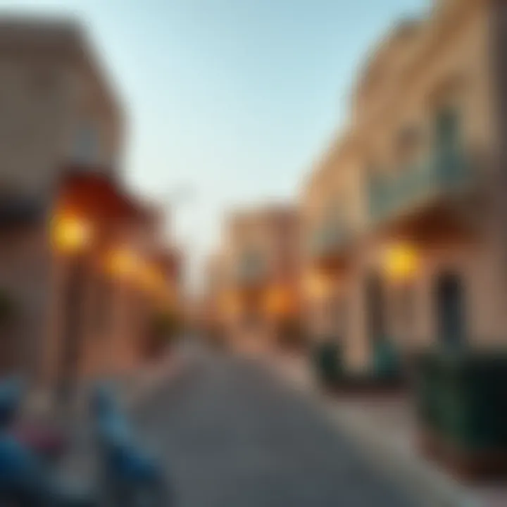 Notable Exploring Lulu Al Nahda Al Rayyan: Insights into a Unique Community in Dubai