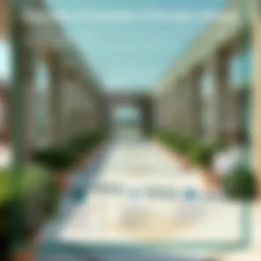 An infographic illustrating various curricula offered by private schools in Dubai