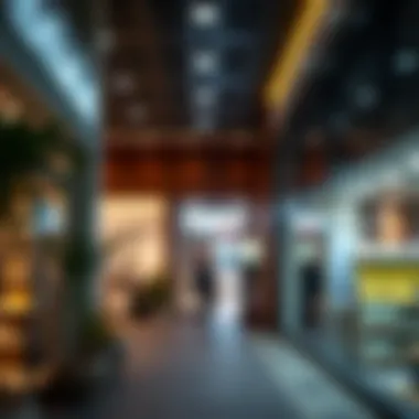Notable Exploring Rental Opportunities: Shops for Rent in International City Phase 2