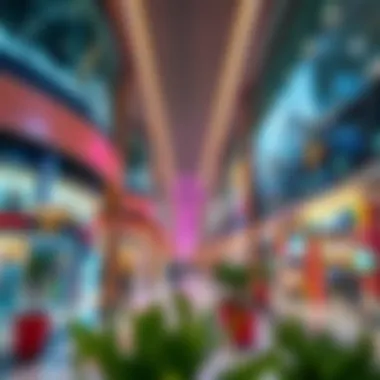 Exploring Silicon Oasis Avenue Mall 2: A Comprehensive Overview Summary