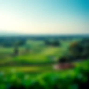 Scenic golf course within Damac Hills community