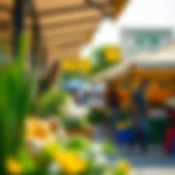 Exploring the Dynamics of the Farmers' Market in Dubai Introduction