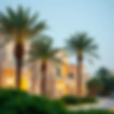 Luxurious residential neighborhood in Dubai with palm trees