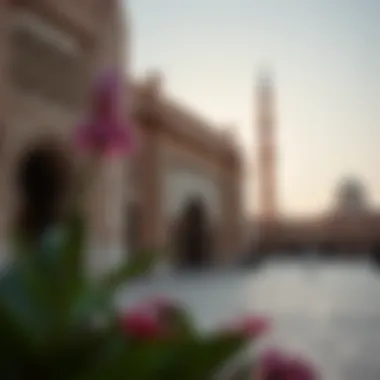 A scenic view of a historical landmark visited by Ibn Batuta during his travels