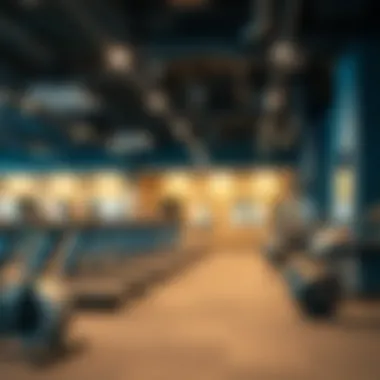 Exploring the Most Affordable Gym Options in Al Barsha Introduction Exploring the Most Affordable Gym Options in Al Barsha Introduction