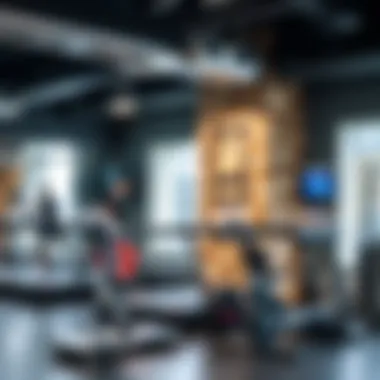 Notable Exploring the Most Affordable Gym Options in Al Barsha Notable Exploring the Most Affordable Gym Options in Al Barsha