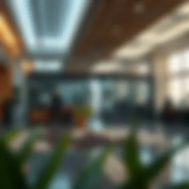 Exploring the Silicon Oasis: A Comprehensive Guide to Partition Rentals Summary Exploring the Silicon Oasis: A Comprehensive Guide to Partition Rentals Summary
