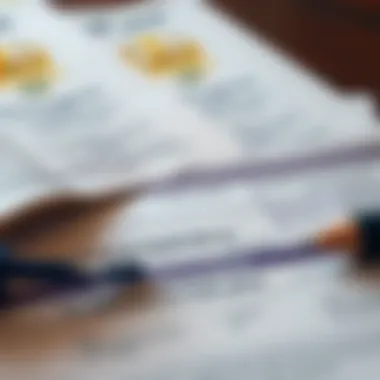 A close-up of documentation and application forms for residency