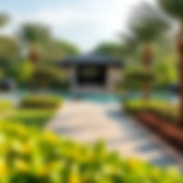 A serene park in Dubai reflecting lifestyle and quality of life