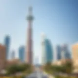 Guide to DMCC Visa Status Check by Passport Number Introduction