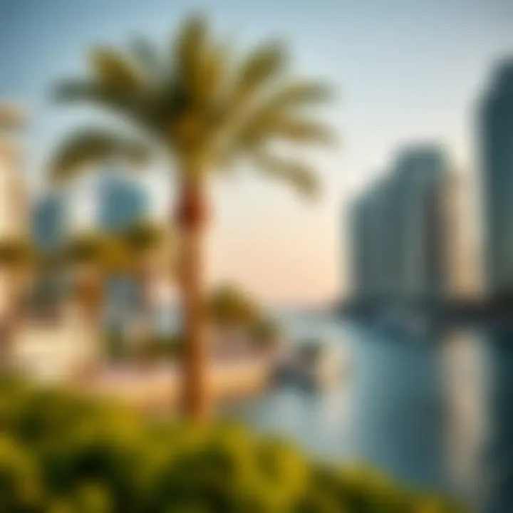 Scenic waterfront views surrounding Icon Bay