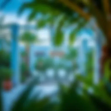 An artistic perspective of the outdoor seating area at Last Exit Al Khawaneej surrounded by greenery