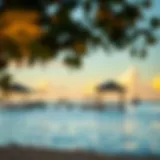 Serene view of Mangrove Beach at sunset