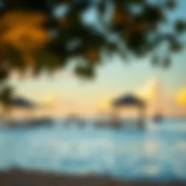 Serene view of Mangrove Beach at sunset