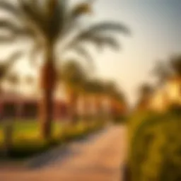 Muweilah Park: An Exploration of Community and Recreation in Dubai Introduction