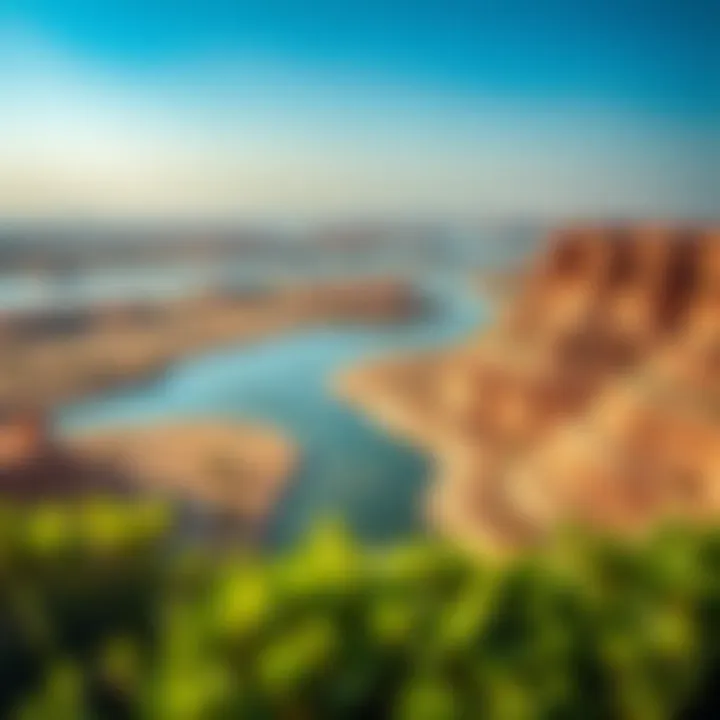 Expansive view of Ras Al Khor Wildlife Sanctuary showcasing diverse ecosystems