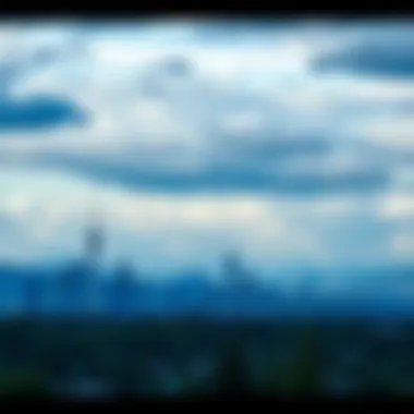 Stunning Skyline from Regency Creek Heights Beautiful skyline view from Regency Creek Heights