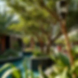 Lush greenery of Rufi Gardens showcasing its unique landscape design