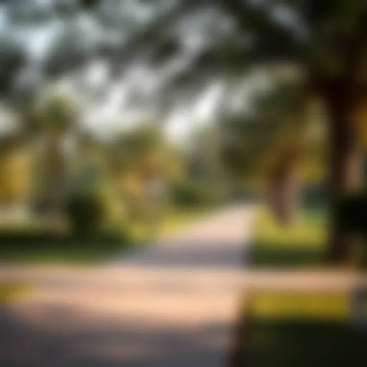 A serene morning view of Safa Park showcasing lush greenery and peaceful walking paths