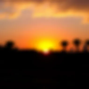 A vibrant sunset over Safa Park, with silhouettes of trees and the city skyline in the background