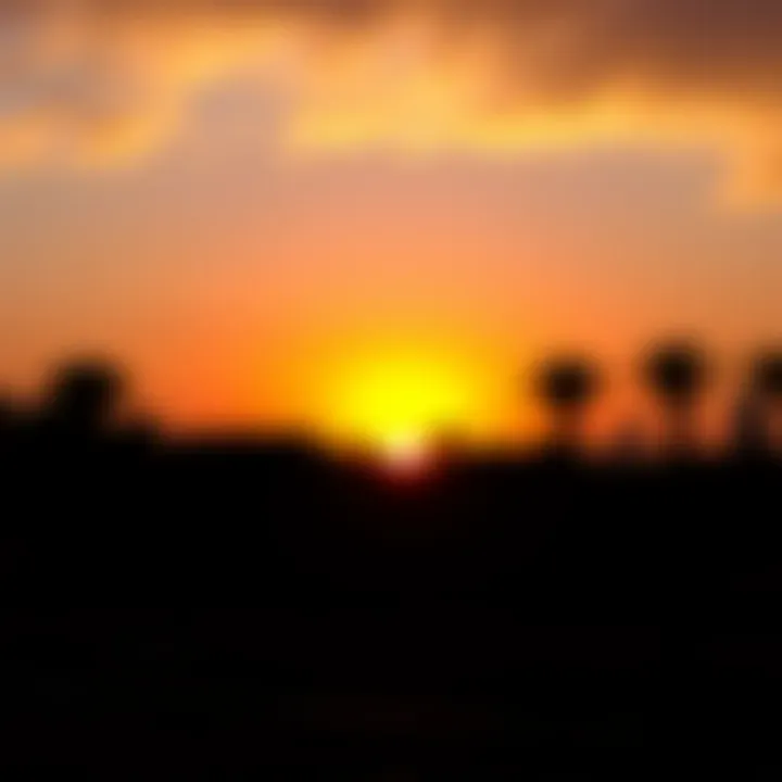 A vibrant sunset over Safa Park, with silhouettes of trees and the city skyline in the background