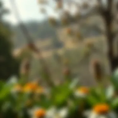 Rich flora and fauna unique to the Talia Valley ecosystem.